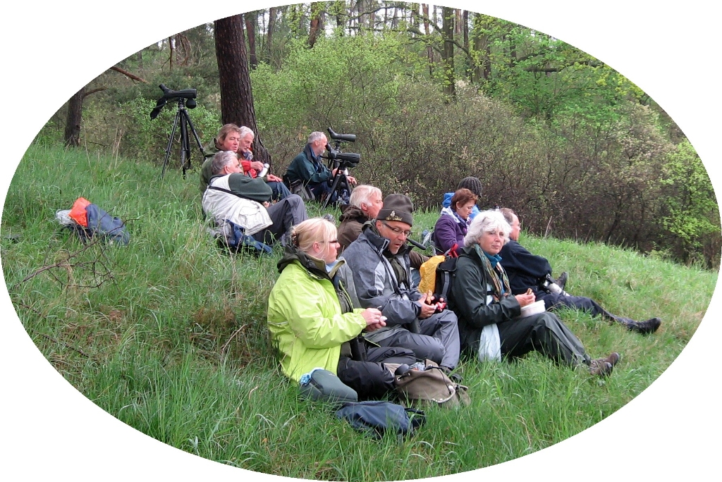 Duitsland Elly (39)